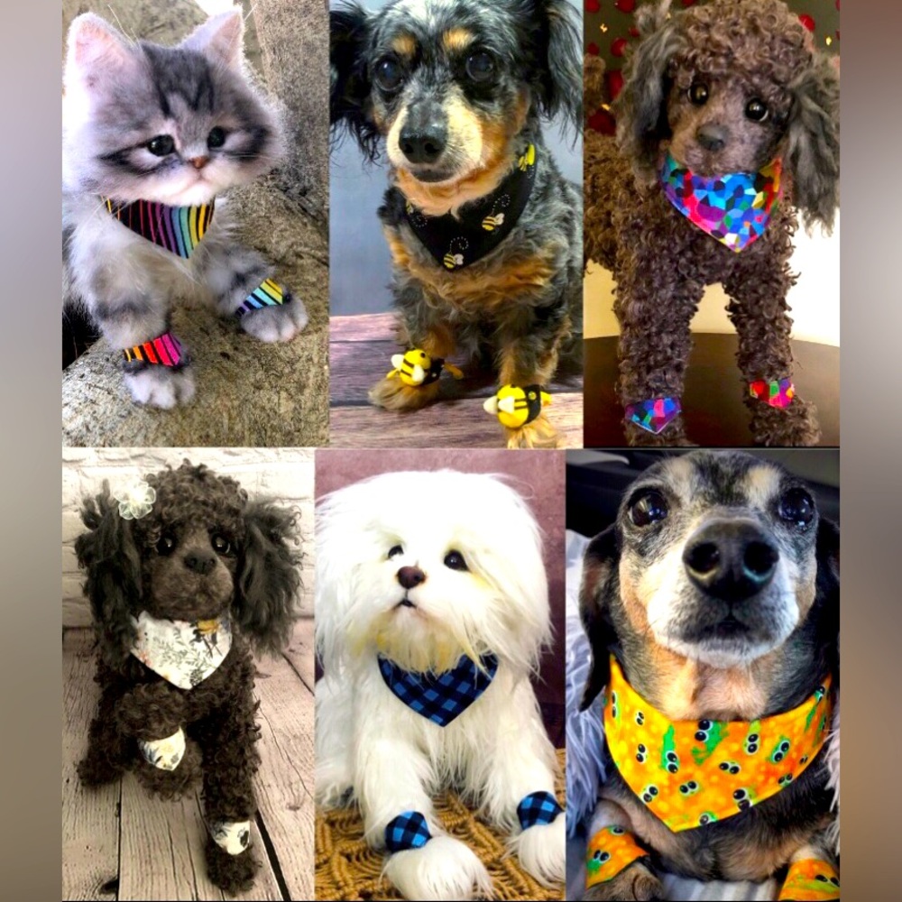 Welcome to Paw Daddies 🐾❣️